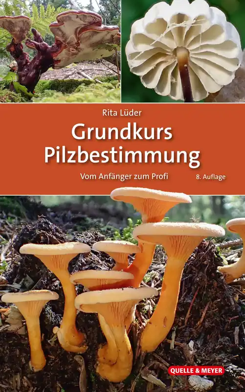 Abverkauf Grundkurs Pilzbestimmung