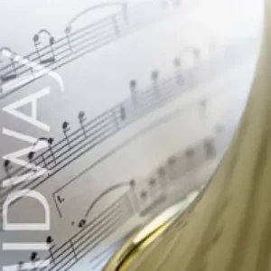 The Bandwagon Top-Qualität