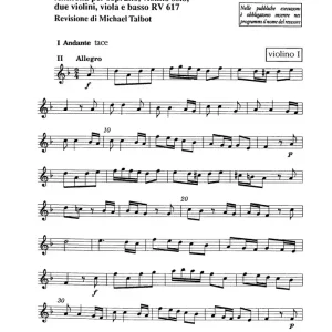 Salve Regina RV 617 Hochwertig