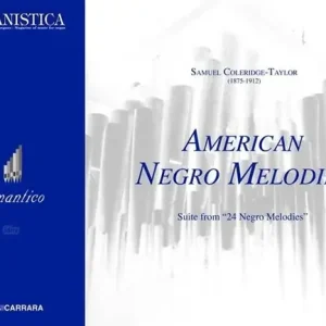 Top-Seller American Negro Melodies