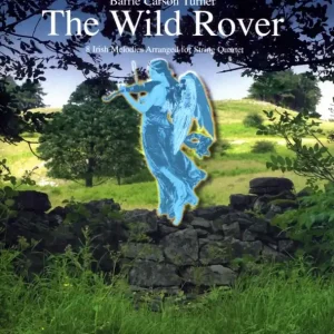 Sonderangebot The Wild Rover