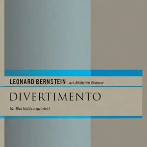Divertimento Schneller Versand