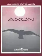 Axon Abverkauf