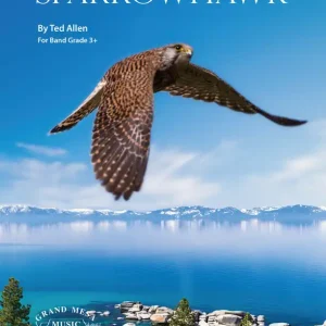 Sparrowhawk Knallerangebot