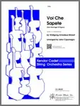 Sonderaktion Voi Che Sapete