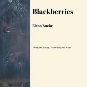 Schneller Versand Blackberries