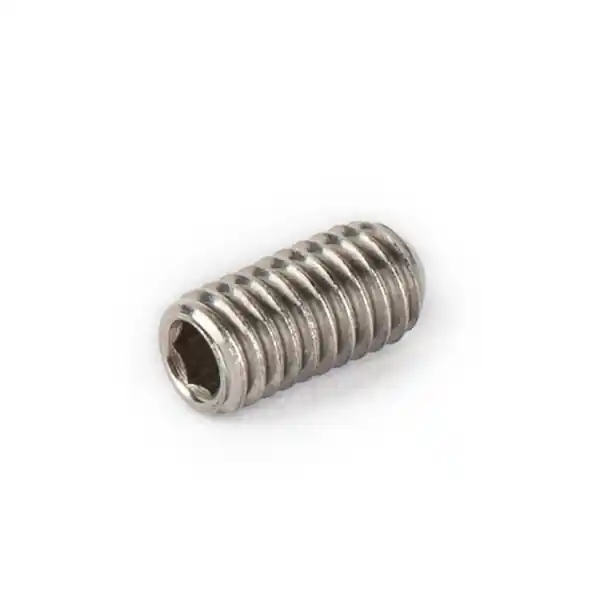 TonePros Spare Parts - Tailpiece Set Screw - Silver Versand Am Gleichen Tag