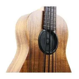 U-Bass Feedback freezer Top-Qualität